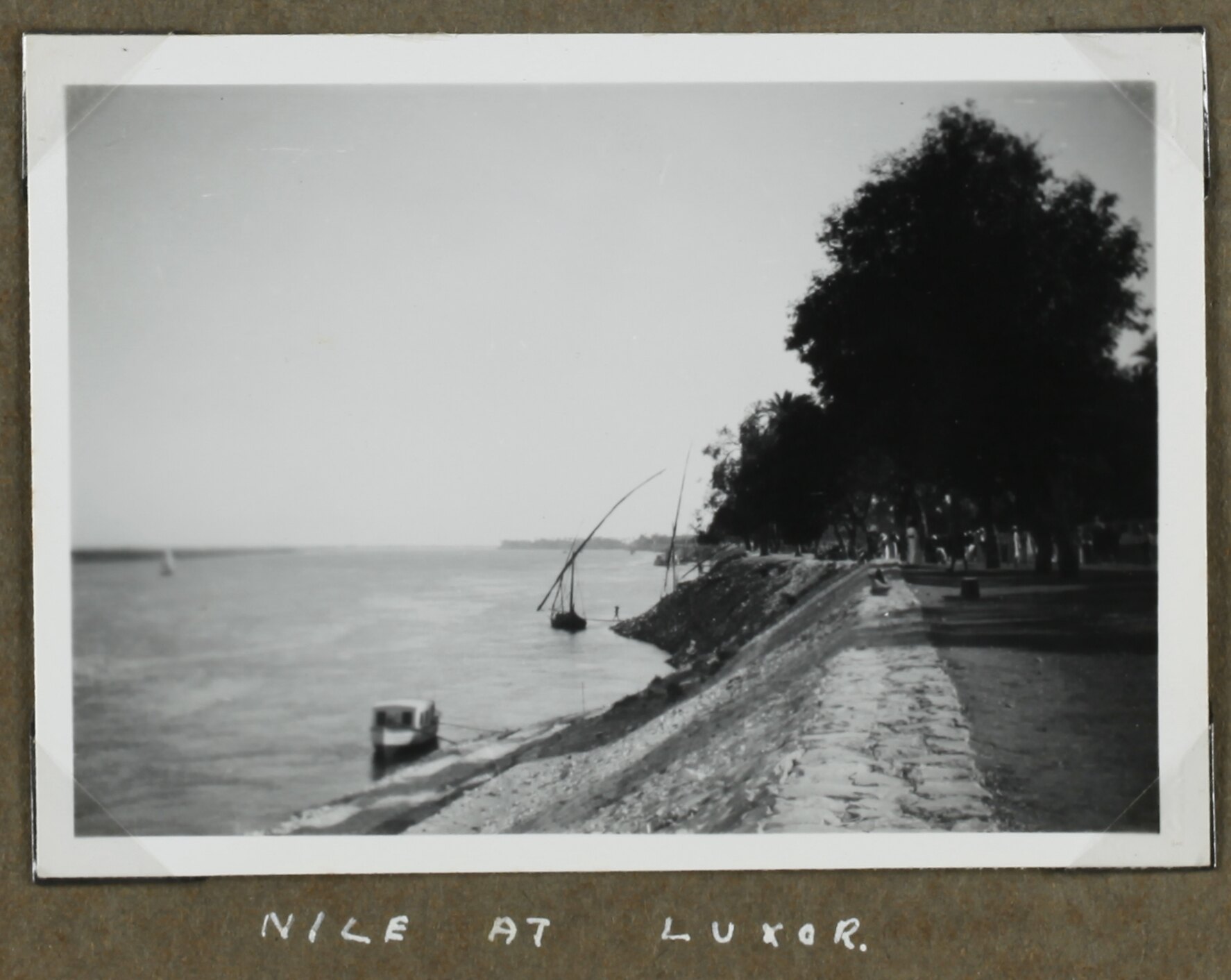 Photograph - Landscape, Nile River, Luxor, Egypt, World War II, 1939-1943